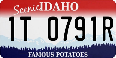 ID license plate 1T0791R