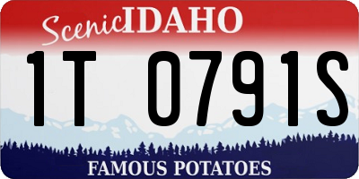 ID license plate 1T0791S