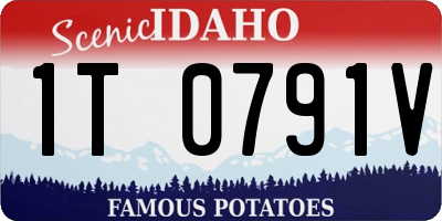 ID license plate 1T0791V