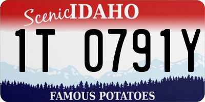 ID license plate 1T0791Y