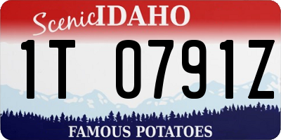 ID license plate 1T0791Z