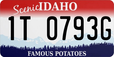 ID license plate 1T0793G
