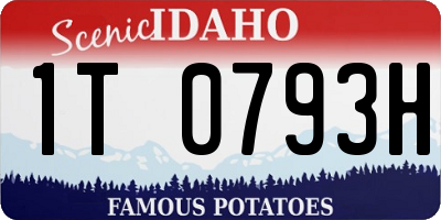 ID license plate 1T0793H