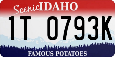 ID license plate 1T0793K