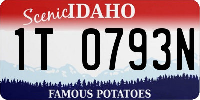 ID license plate 1T0793N