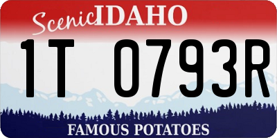 ID license plate 1T0793R