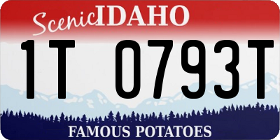 ID license plate 1T0793T