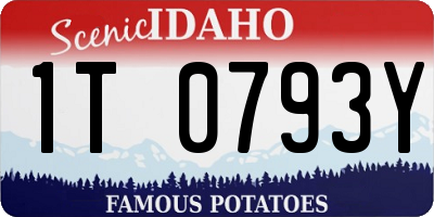 ID license plate 1T0793Y