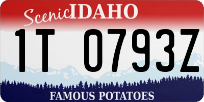 ID license plate 1T0793Z