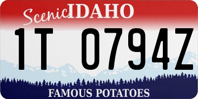 ID license plate 1T0794Z