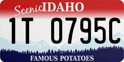 ID license plate 1T0795C
