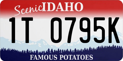 ID license plate 1T0795K