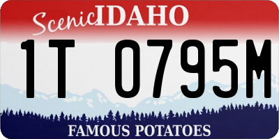 ID license plate 1T0795M