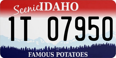 ID license plate 1T0795O