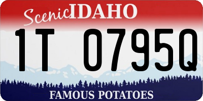 ID license plate 1T0795Q