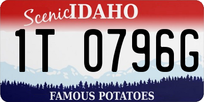 ID license plate 1T0796G