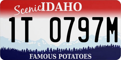 ID license plate 1T0797M