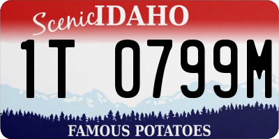 ID license plate 1T0799M