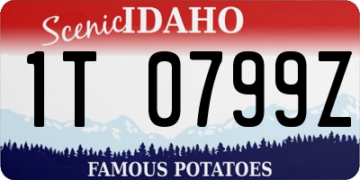 ID license plate 1T0799Z