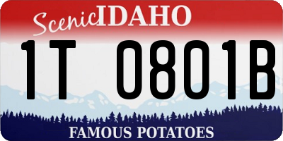 ID license plate 1T0801B