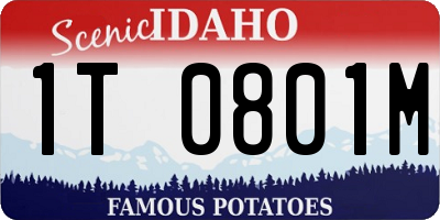 ID license plate 1T0801M