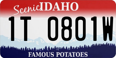 ID license plate 1T0801W