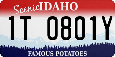 ID license plate 1T0801Y