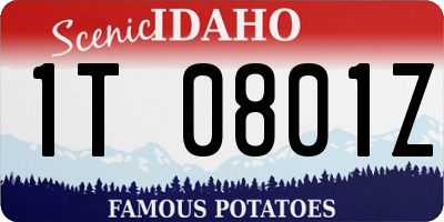 ID license plate 1T0801Z
