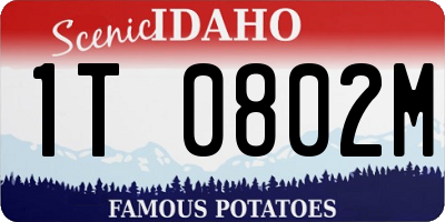 ID license plate 1T0802M