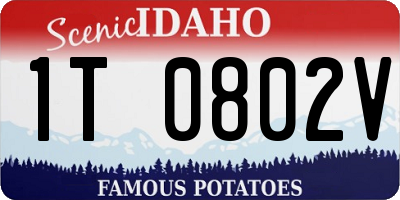 ID license plate 1T0802V