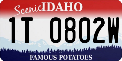 ID license plate 1T0802W
