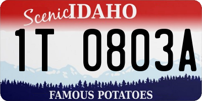 ID license plate 1T0803A