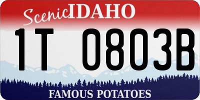 ID license plate 1T0803B