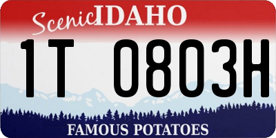 ID license plate 1T0803H
