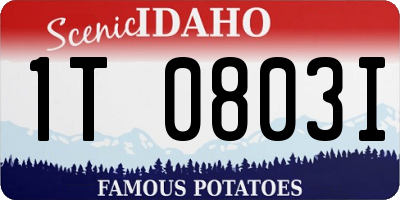 ID license plate 1T0803I