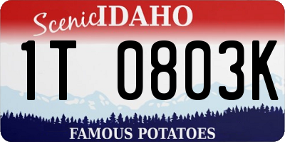 ID license plate 1T0803K