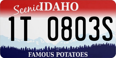 ID license plate 1T0803S