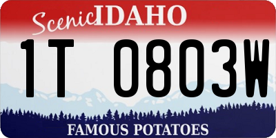 ID license plate 1T0803W