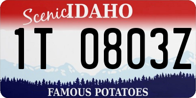 ID license plate 1T0803Z