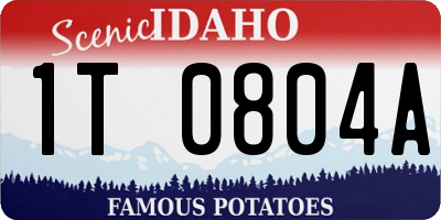 ID license plate 1T0804A