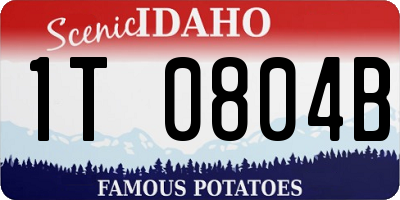 ID license plate 1T0804B
