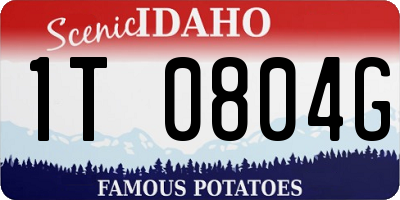 ID license plate 1T0804G