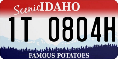 ID license plate 1T0804H
