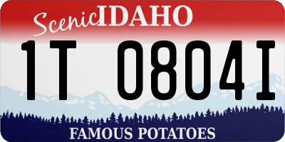 ID license plate 1T0804I