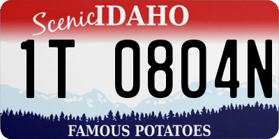 ID license plate 1T0804N