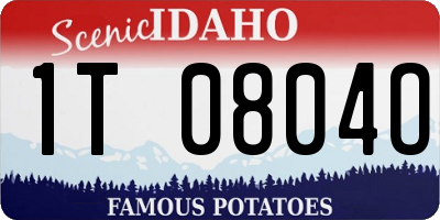 ID license plate 1T0804O