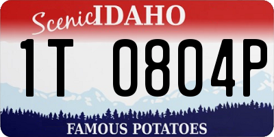 ID license plate 1T0804P