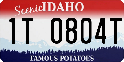 ID license plate 1T0804T