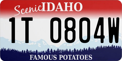 ID license plate 1T0804W