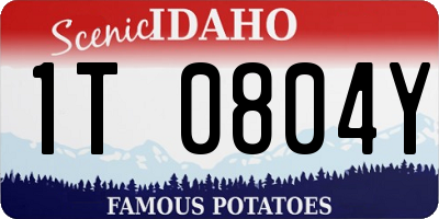 ID license plate 1T0804Y